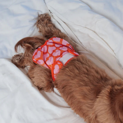 Dog Period Panties Hearts