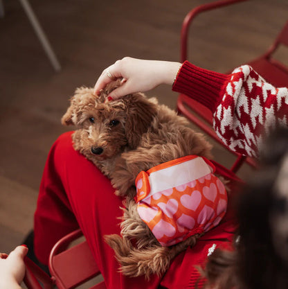 Dog Period Panties Hearts