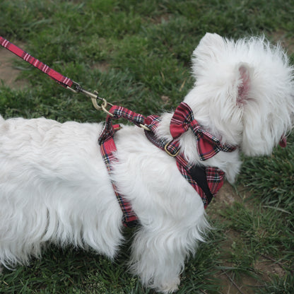 Countryside Field - Windsor Harness