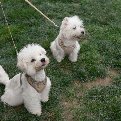 Countryside Garden - Highclere Harness