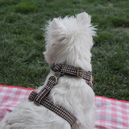 Countryside Field - Cardiff Harness