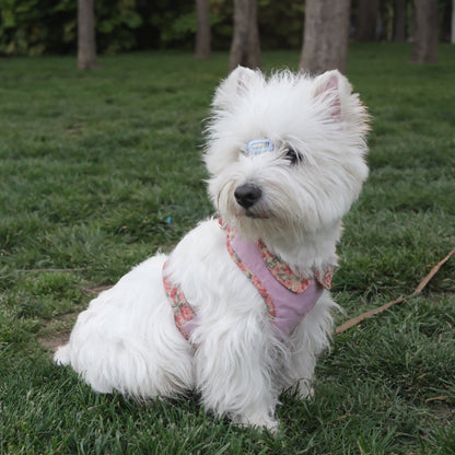 Countryside Garden - Chatsworth Harness