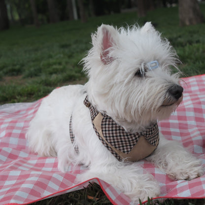 Countryside Field - Cardiff Harness
