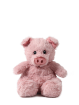 Cuddle Piggy