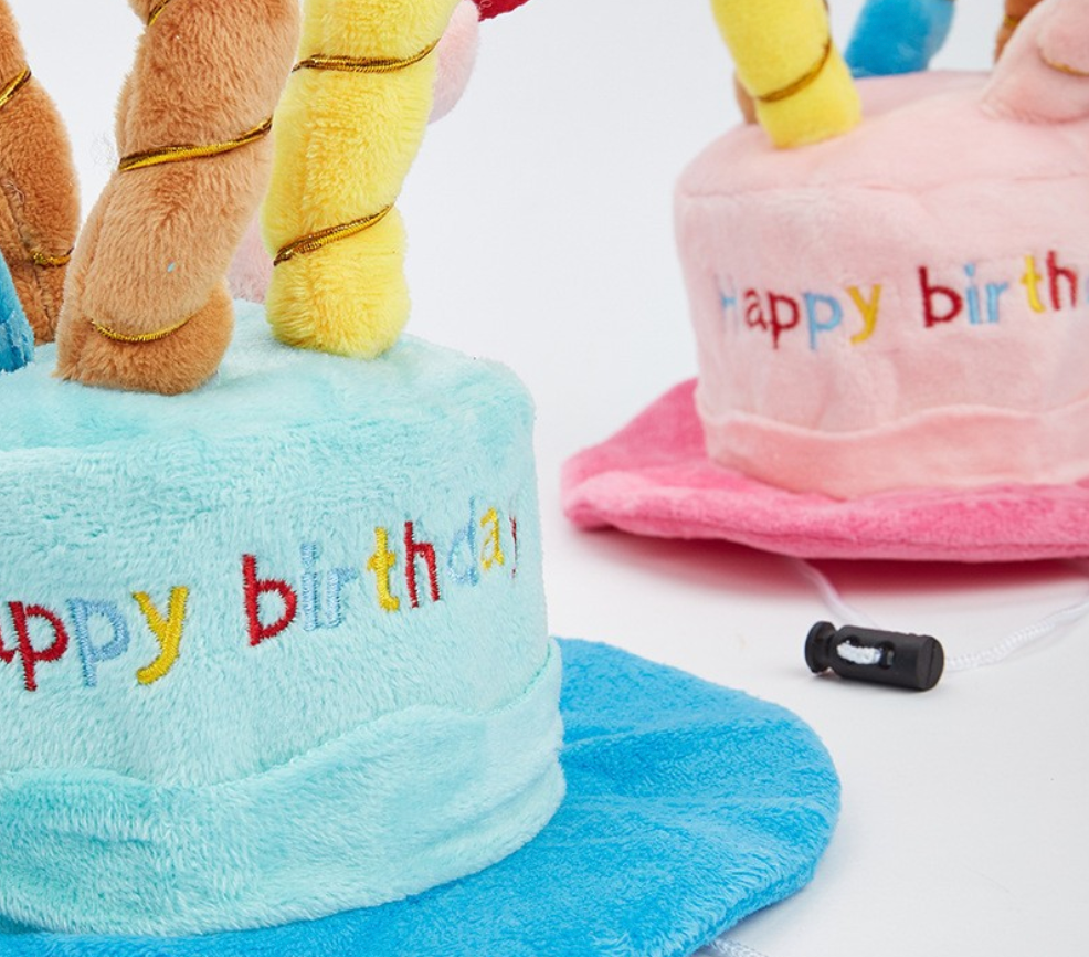 Birthday Hat for Dogs - Pink Delight