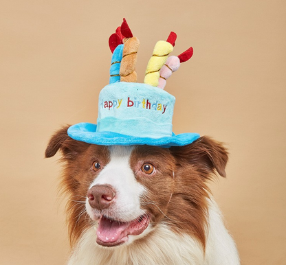 Birthday Hat for Dogs - Pink Delight