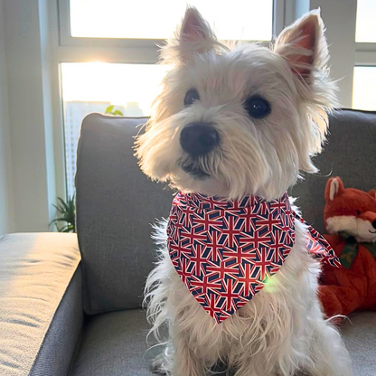 Union Twist Pet Bandana - Contemporary British Vibes