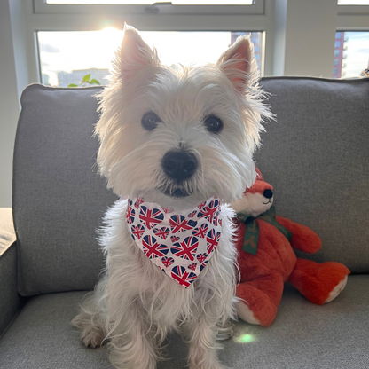 Union Jack Scatter Pet Bandana - Playful British Flair