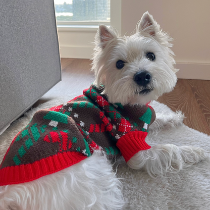 Green & Red Christmas Tree Sweater