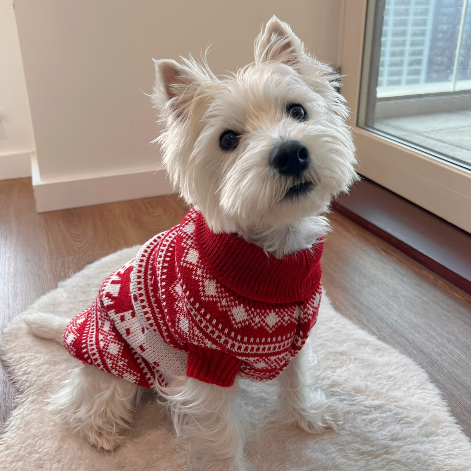 Nordic Winter Dog Sweater - Classic Red & White