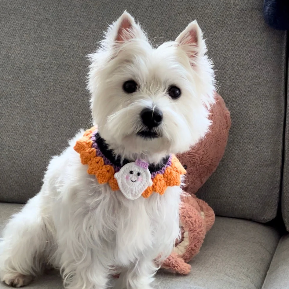 Pumpkin Sprite Pet Bandana