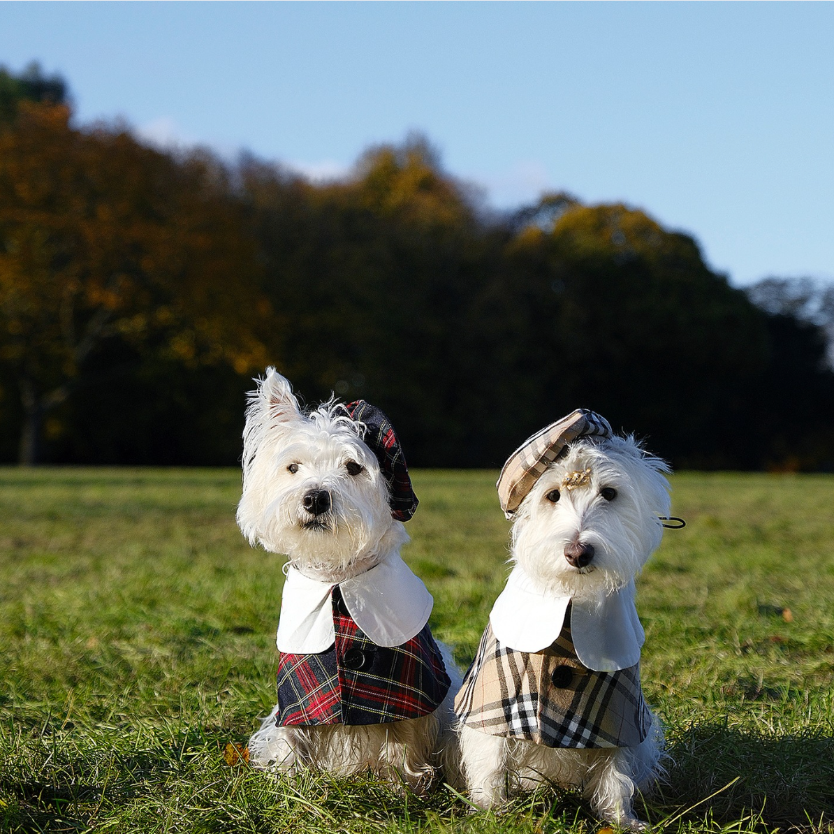 Classic Tartan Set with Adjustable Hat