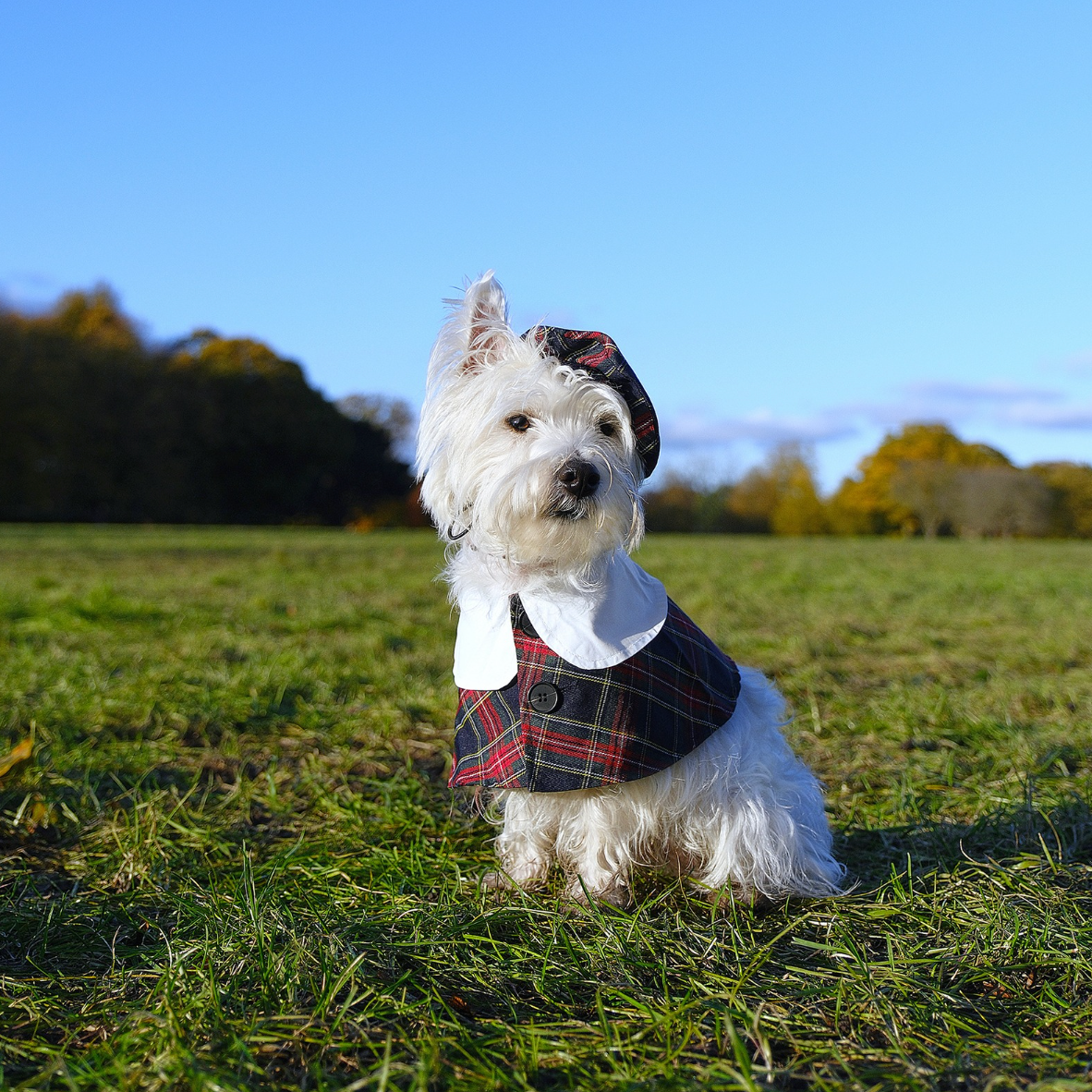 Classic Tartan Set with Adjustable Hat