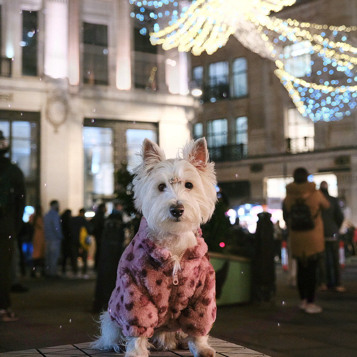 Leopard Furcoat for Pets - Bubblegum Pink