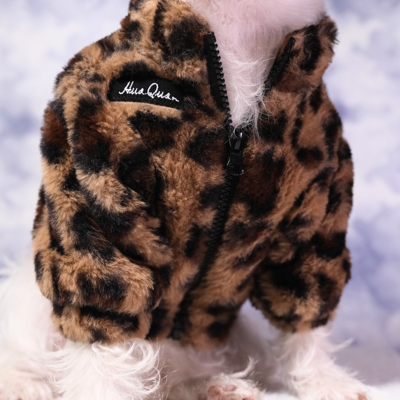 Leopard Furcoat for Pets - Classic Brown