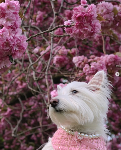 Chanel-Inspired Pearl Pet Bib – Pink Elegance for Small Dogs & Cats