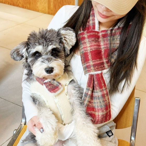 Matching Dog and Owner Winter Scarf Set – Soft Fleece Checkered Neck Warmer for Small Pets and Humans