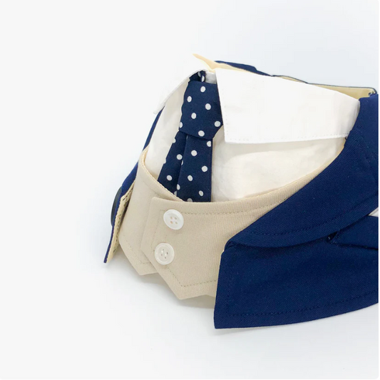 Momoji Queensway Pet Bib for Cats & Small Dogs