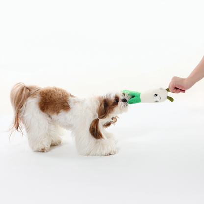 Spring Onion Squeaky Dog Toy (Small) – Interactive Play