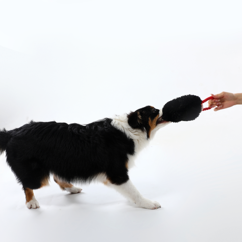 Woven Core Royal Defender Dog Toy – Durable Chew & Play