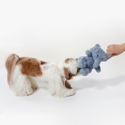 Cuddle Elephant Squeaky Dog Toy – Comfort & Play