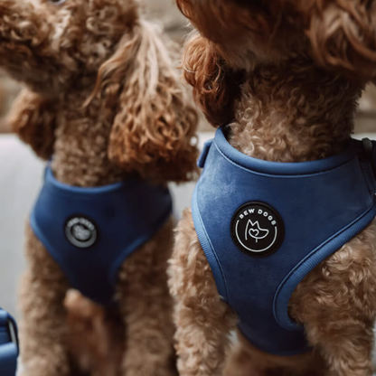 Midnight Blue Velvet Dog Harness