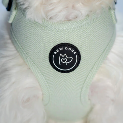 Herringbone Dog Harness - Mint Green