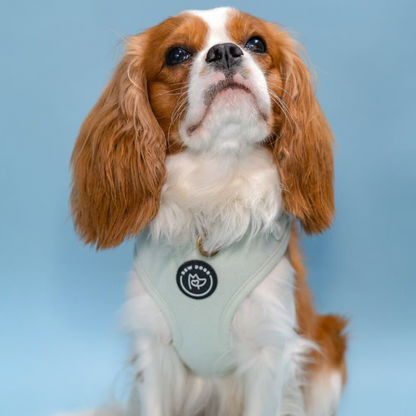 Herringbone Dog Harness - Mint Green