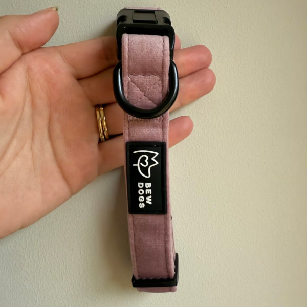 Rose Velvet Dog Collar