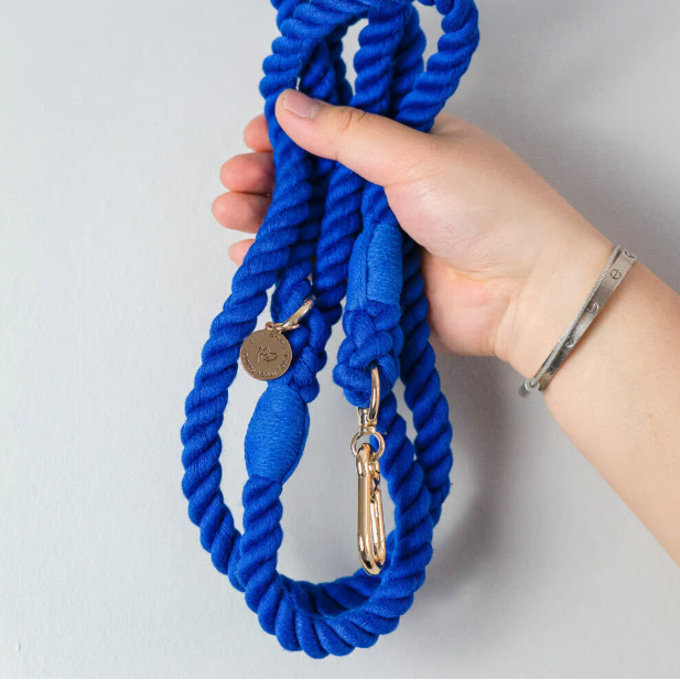Blue Rope Lead