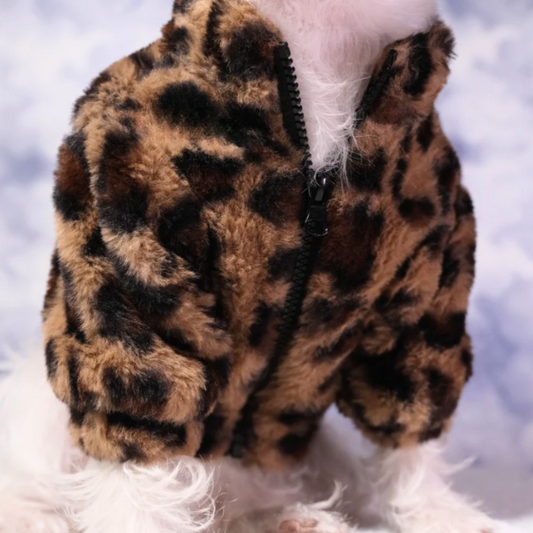 Leopard Furcoat for Pets - Classic Brown