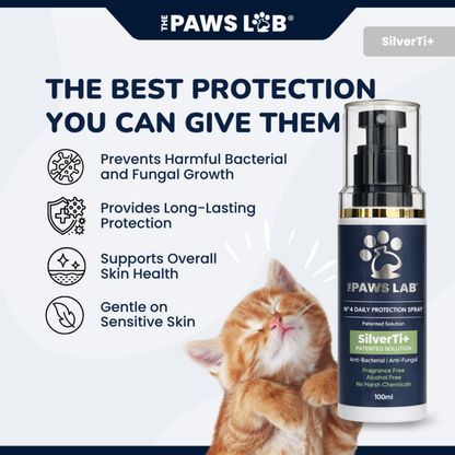 N°4 Daily Protection Spray (100 ml)