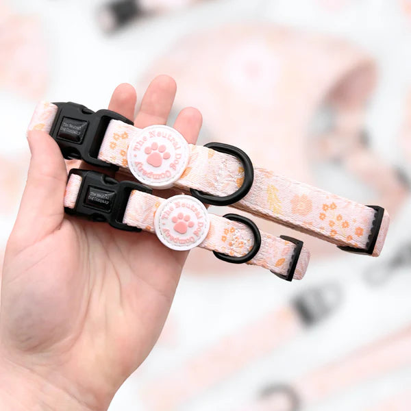 Adjustable Collar - Floral Dreams