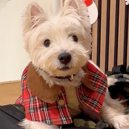 Unique Dog British Red Tartan Coat