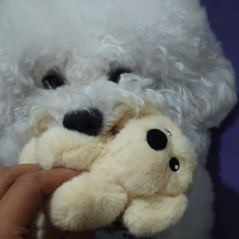 Golden Retriever Washable Squeaky Dog Toy & Bag Charm