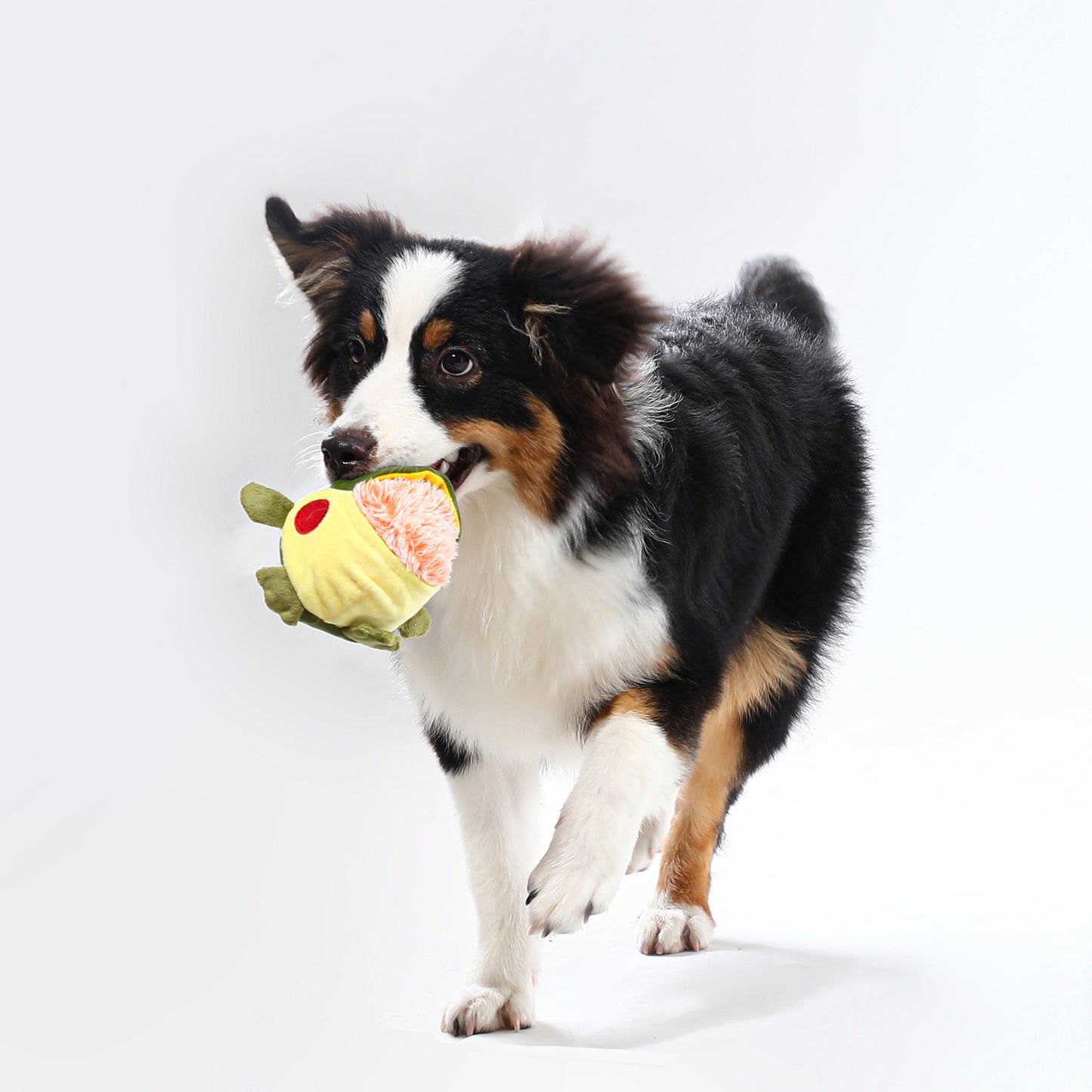 Big Mouth Frog Interactive Treat-Hiding Dog Toy