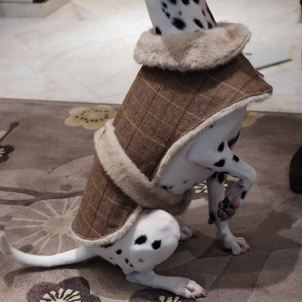 Unique Dog Fur coat - Premium Handcrafted