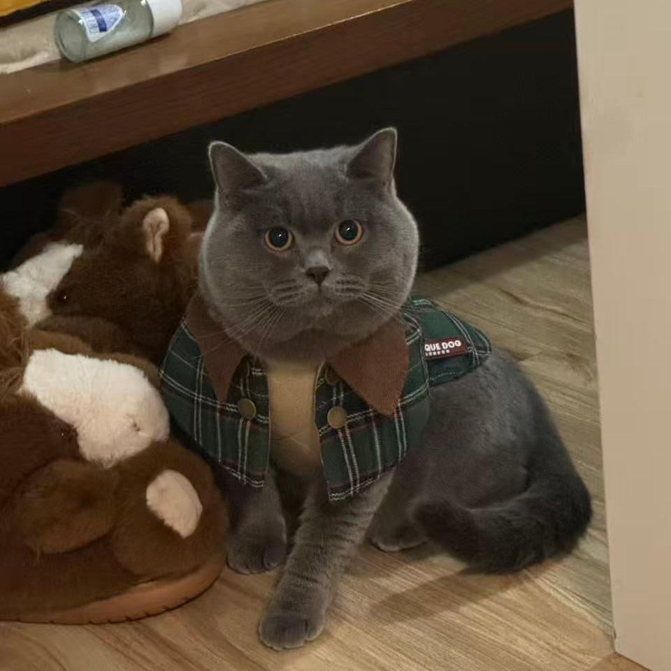 Unique Dog British Green Tartan Coat