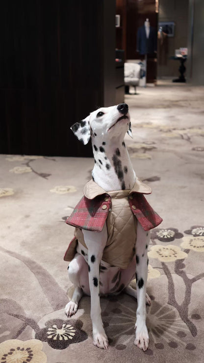 Premium Handcrafted Padded Dog Coat