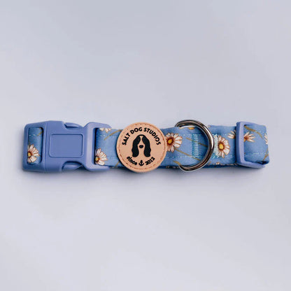 Daisy Daisy Dog Collar