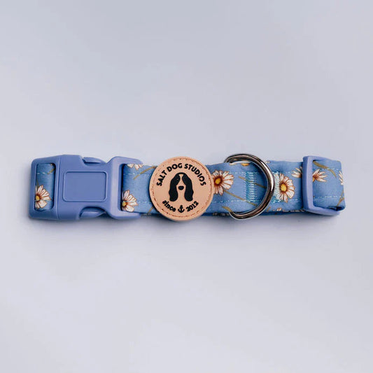 Daisy Daisy Dog Collar