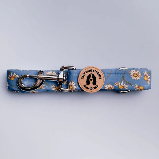 Daisy Daisy Dog Lead