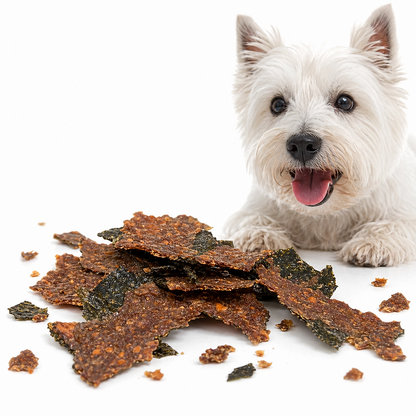Air-Dried Pumpkin & Beef Nori Crunch Minis / 25g