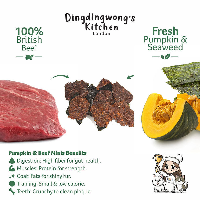 Air-Dried Pumpkin & Beef Nori Crunch Minis / 25g