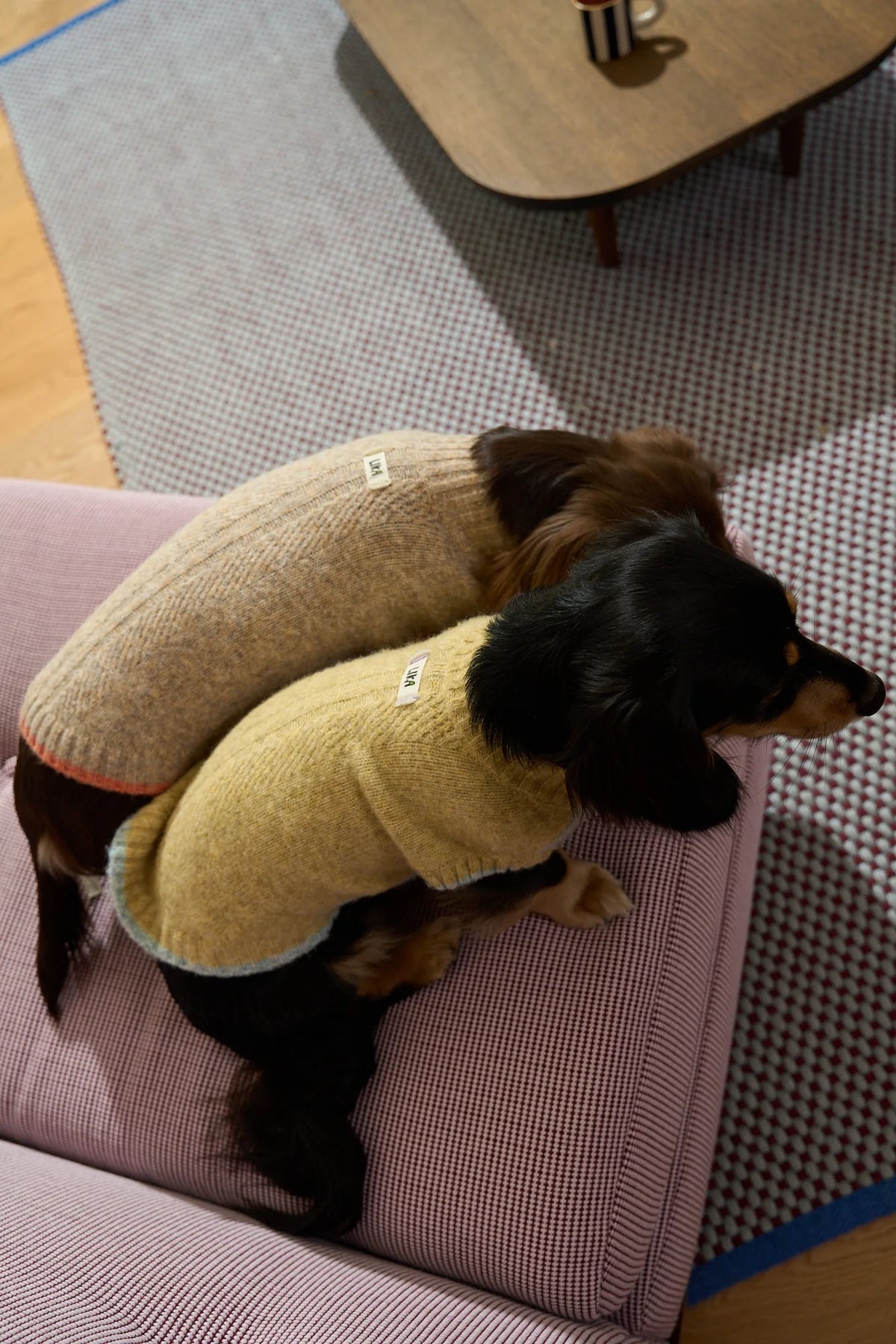 Float Day Cable-Knit Sweater
