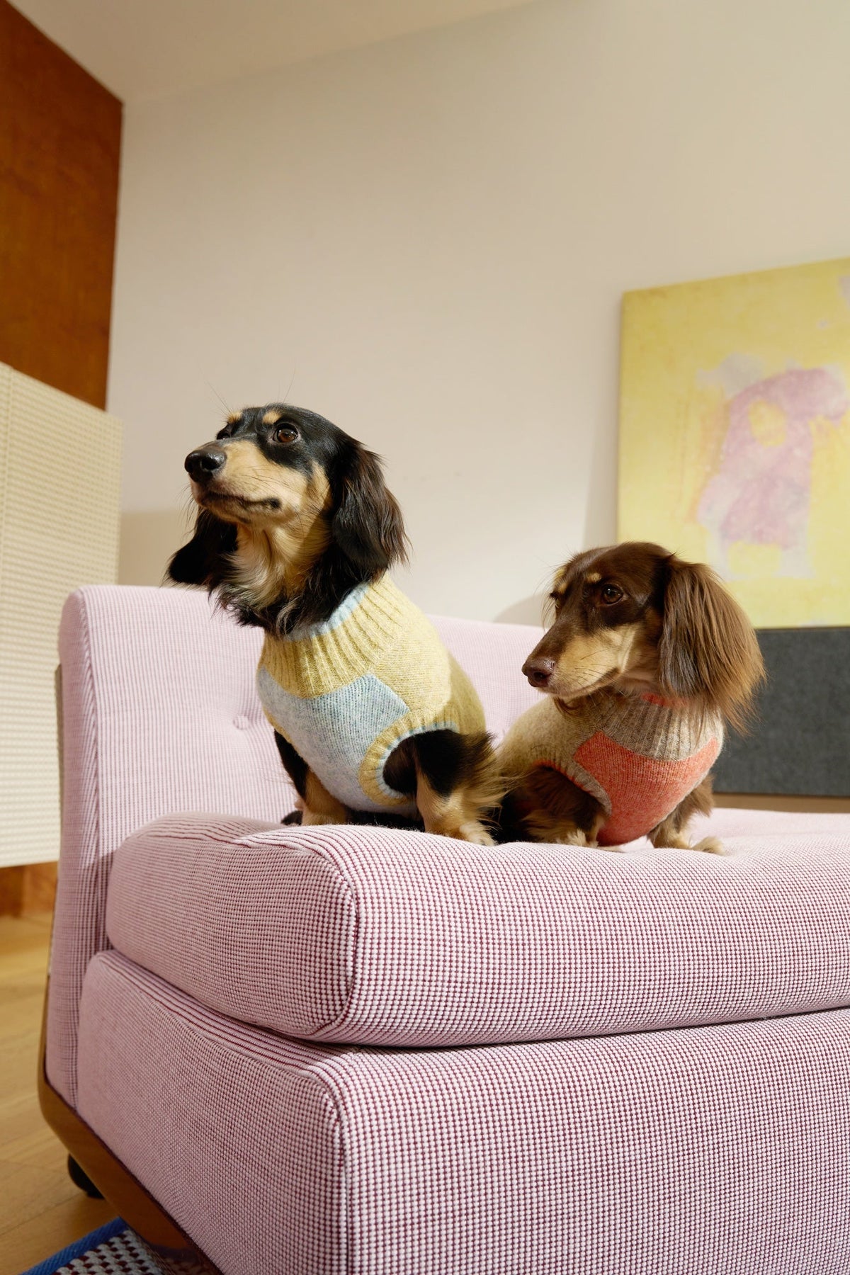 Float Day Cable-Knit Sweater