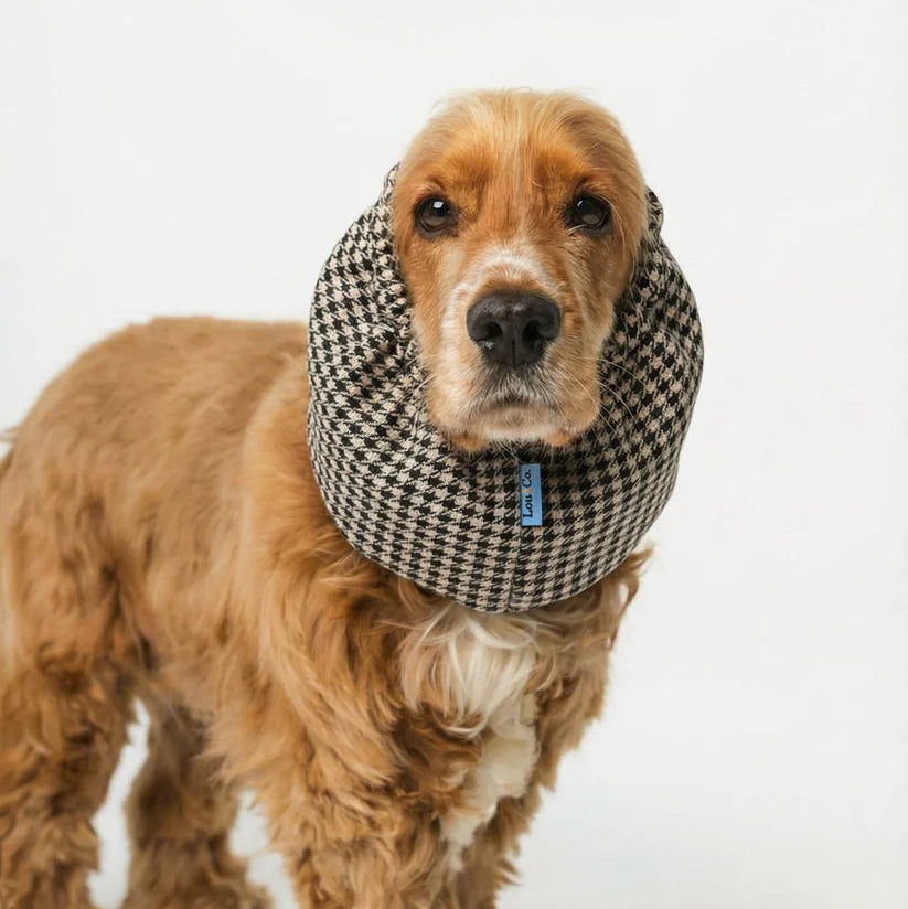 Dog Snood Vichy