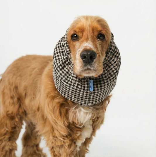 Dog Snood Vichy