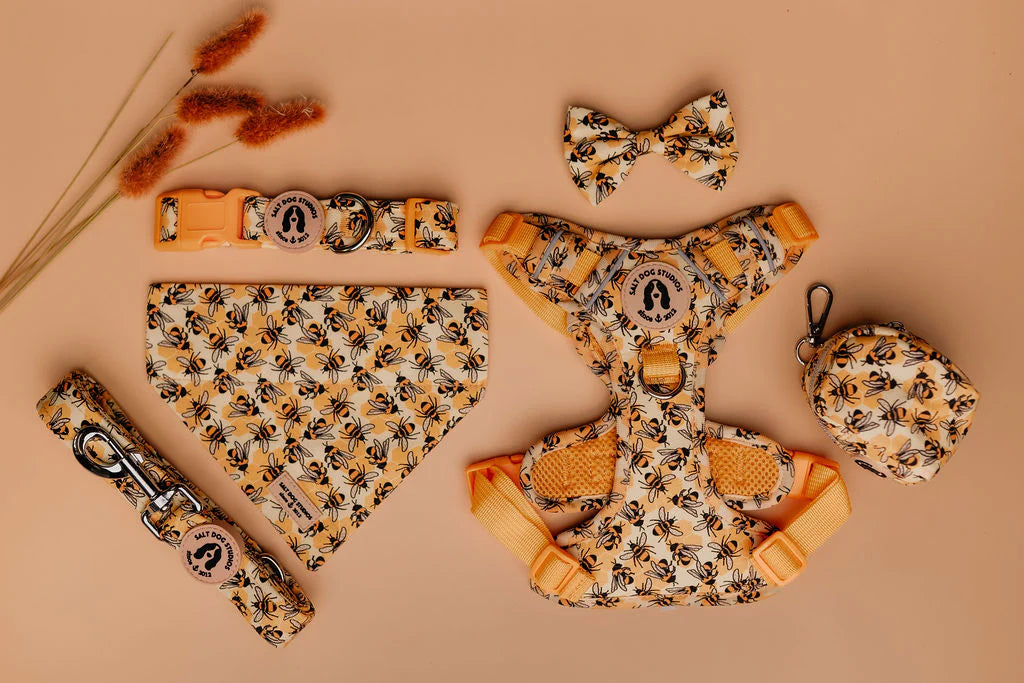 Honey Bee Hive Dog Collar