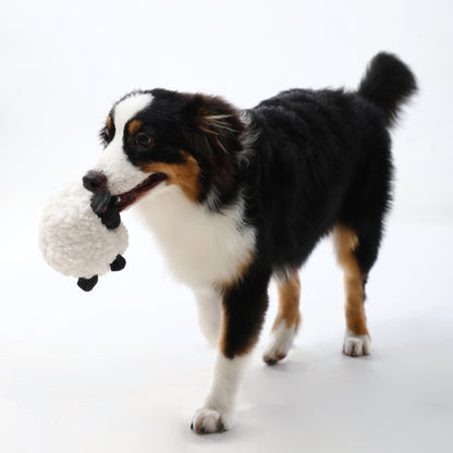 Woven Core Chubby Woolball Dog Toy – Durable Chew & Play